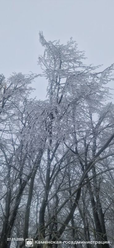 ��������� ����� �� ������ ������