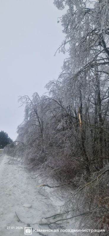 ��������� ����� �� ������ ������