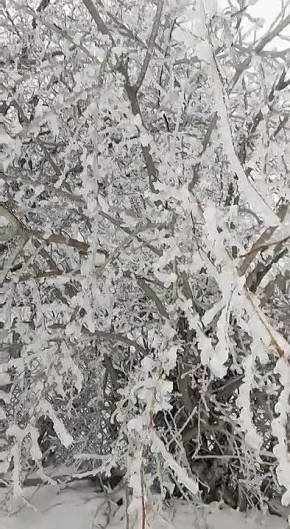 � ������� ������� �������� ����������