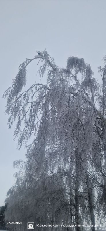 ��������� ����� �� ������ ������