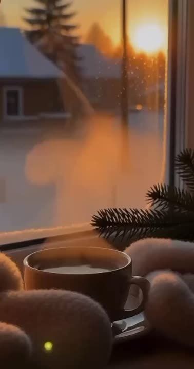 "Музыка — это величайшее утешение: оно освежает сердце и дарует ему мир."