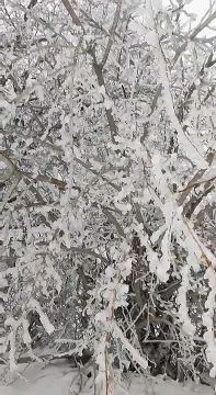 � ������� ������� �������� ����������