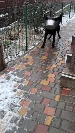 ϸ� ������� ������ � ������, �� ������ �� ����� ������