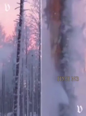 ������������� ����� � ��� ���������� ������� ������������