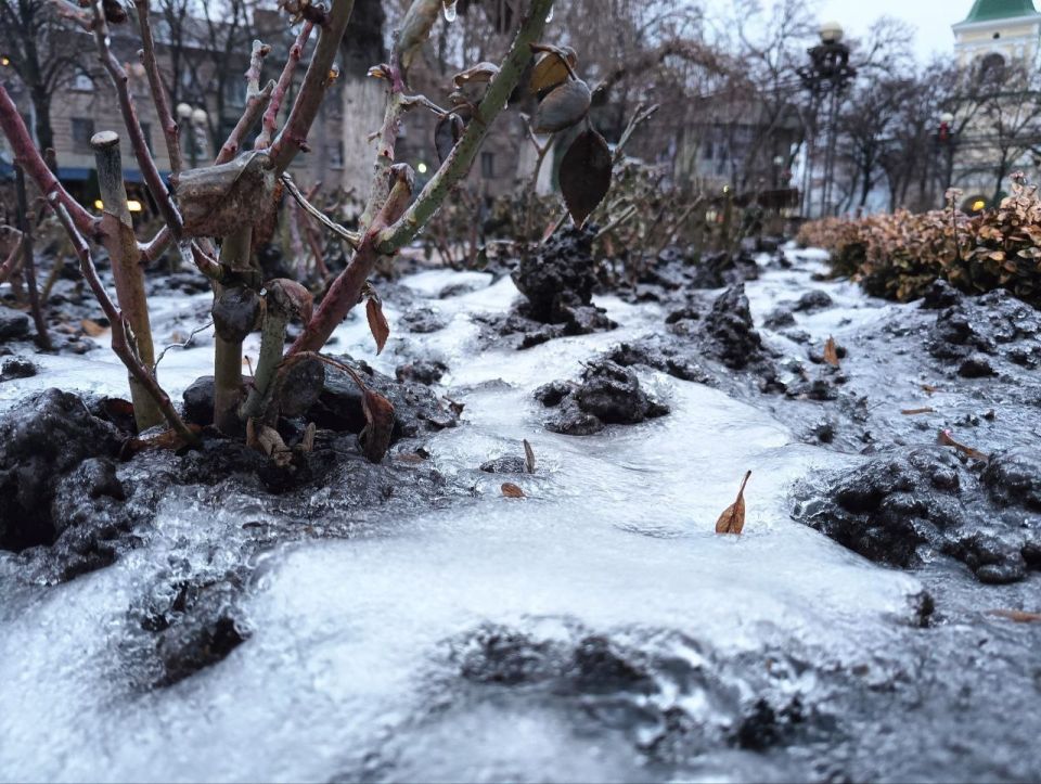 29 ������ ��������� �������� ������, ����� - ��� ������������ �������, ���� - ������� ��������� �����