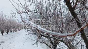 ������� ���� � �������� (��������� �����) � ������ ��� �������