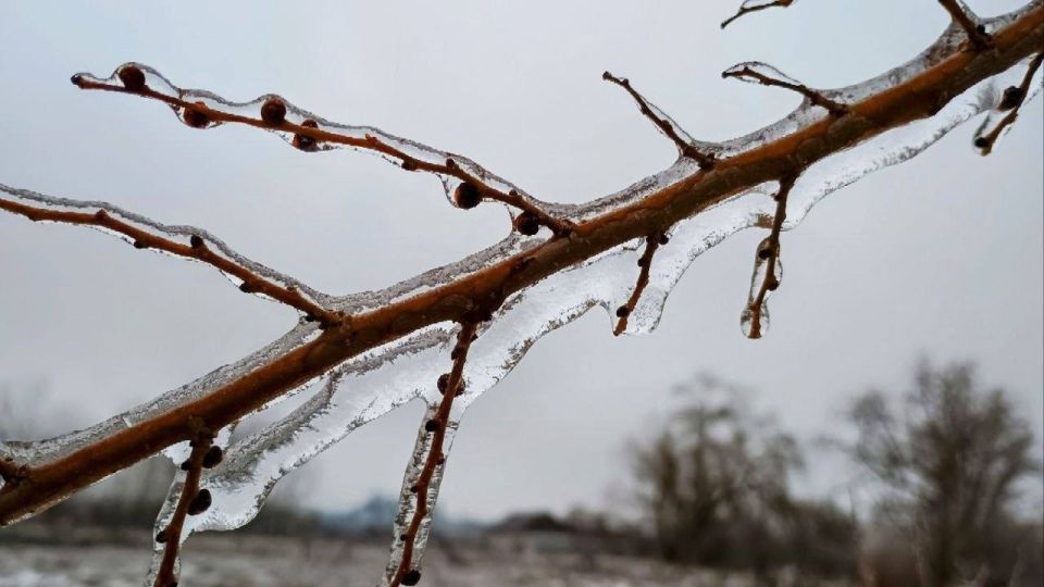 "�������" ��������� � �������, �� ����� ��������