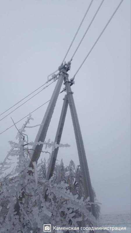 ����� �������������� � ���� �������-������� ������� �����