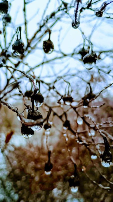 "�������" ��������� � �������, �� ����� ��������