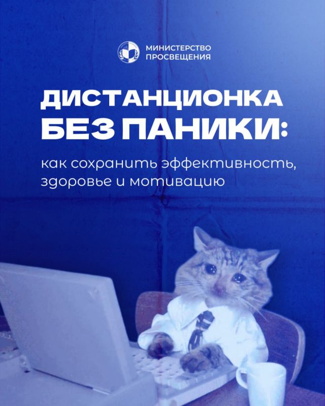 ������ ���� ����������. ���������� ������� � ���������� ��� � ���� � ��������� �������� ����