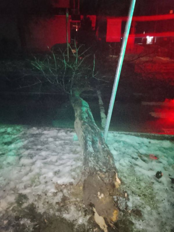 �� ����� ������, 3 � �������, ����� � ���������, ������� ������ ��������� ��������