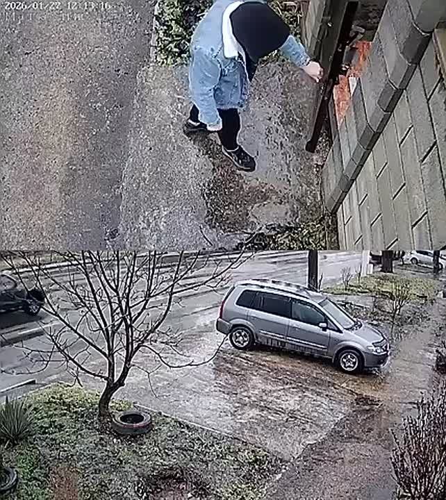 ��������� �������������, ��� ������ ���� ����� ��������