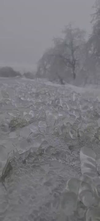 ��� ��������� ������� �� ������ � ���� �����������