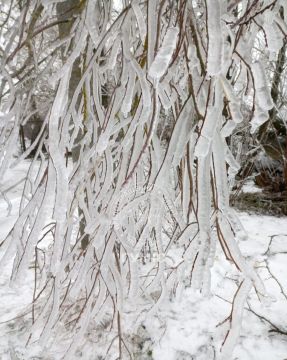 Каменские спасатели помогали специалистам электросетей в селе Соколовка