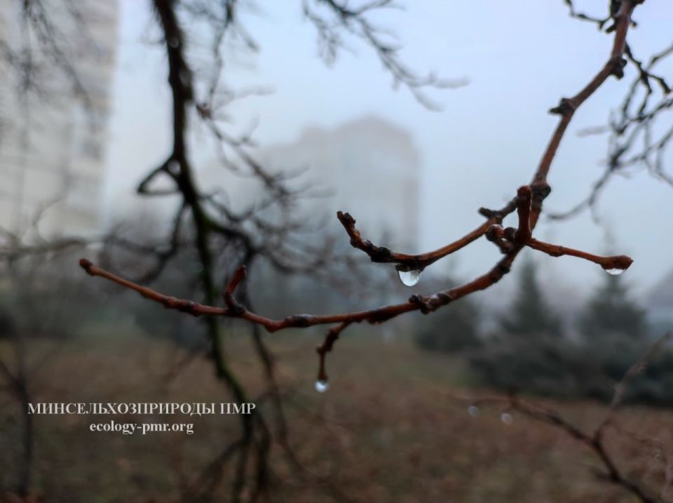 ������� ����!. ������� ������ �� �������, 29 ������