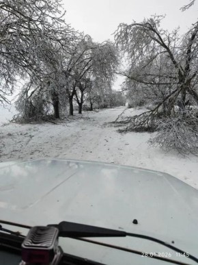 ��������� IDC ���������� ������������� ����������� ��������