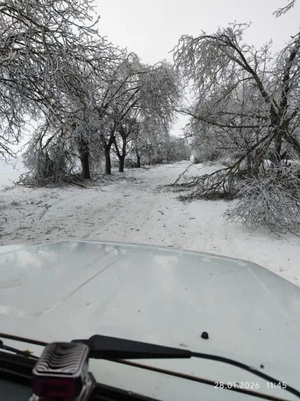 � ���������� ����������� �������� � ��������� ������ ���������� � �������� ���