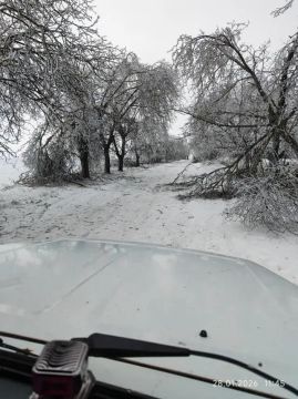 � ���������� ����������� �������� � ��������� ������ ���������� � �������� ���