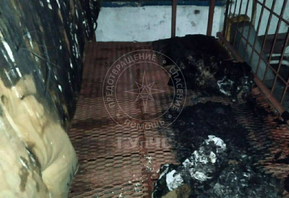 ����� � �������������������� ��������� ���������: ������������ ����� 80 �������