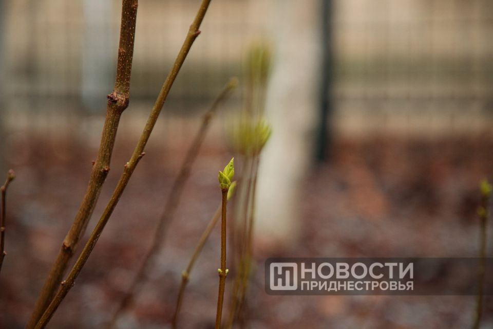 ��������������� ��������. ����� ������ �������� ��������� ����������� � ���������� � �����