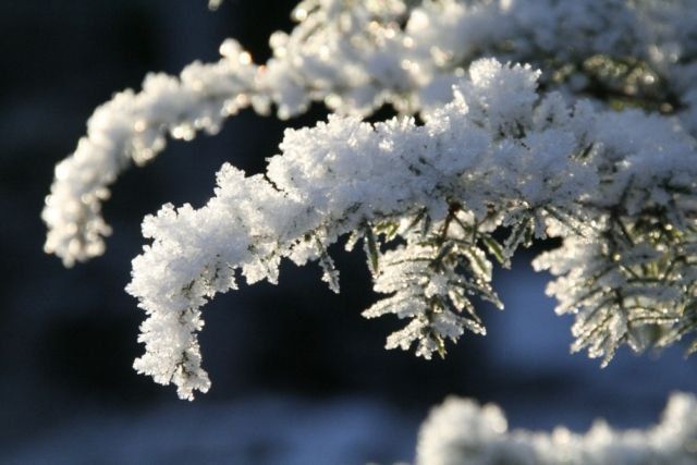 ������� ������� � � ������� ����������� ��� �� ���������� ��������� ������ � �������� ��������� ����� � �������� �� 15 �/�