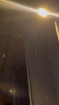 ���� �������� �� ���������