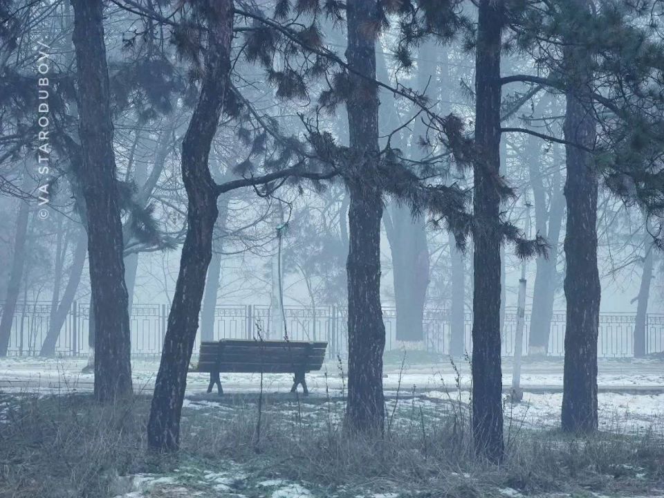 ���������. ���� ������� ���������