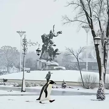 ���� � �������� ����� ���� �� ����������� �����