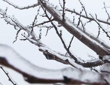 ������ ������� � ������� ����� ���������� ��-�� ������ �� ��������� ��������, �������� �������� � ������ �������������