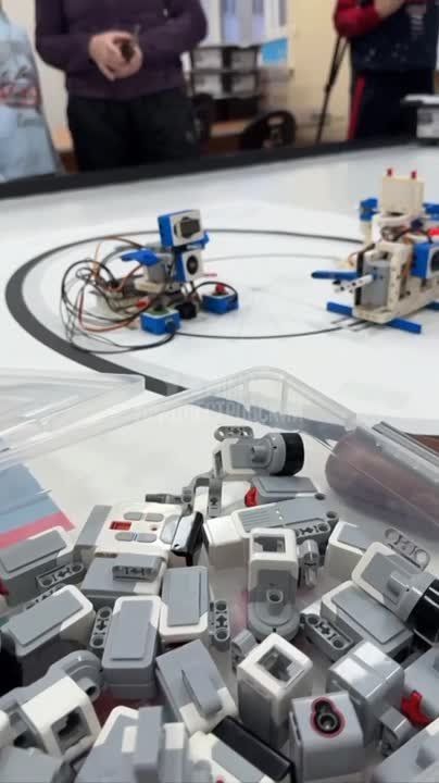 � IT-������� ������ ���� �������� ������