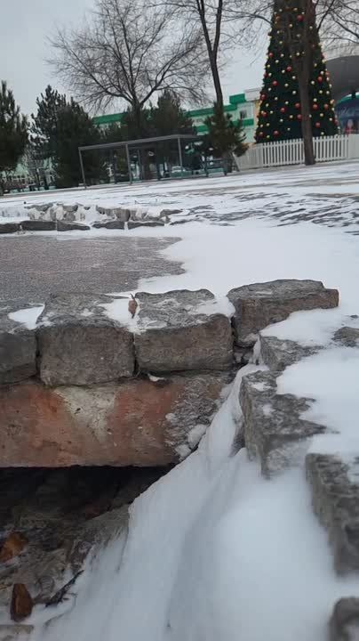 ˸���� ������, �� �� ����� � �������������� �����, ������ � ��� ����� ������ ������ ���������� ����