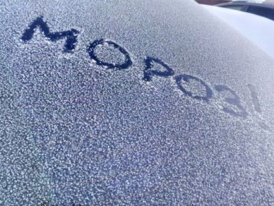 ����� �� 20 �������� ��������� ������� ����� � �������������