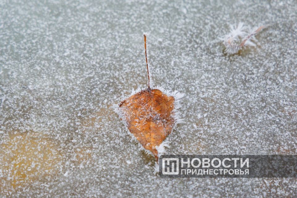 ���� ����� � ������������� ����� -19��