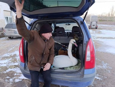 ��� ���� ����� ������ ������ ����� � ������ ����� ��������