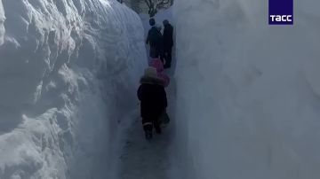 ������ �������� ���������� �� ����������� �� ������� �������� ����� ������ ������ ��������, �������� ����