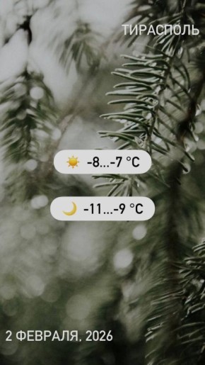 Доброе утро! Пусть день будет лёгким и удачным