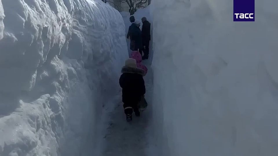 ������ �������� ���������� �� ����������� �� ������� �������� ����� ������ ������ ��������, �������� ����