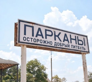 Неизвестные застрелили домашнего питбуля в Парканах