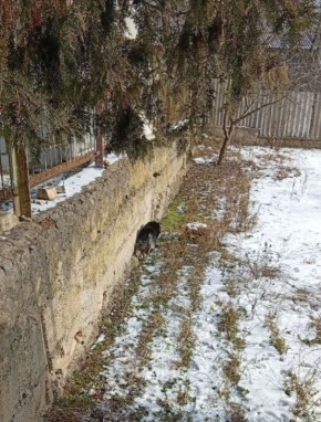 ����� � �������, �� ����� ����������: ������ ������� �� ������������