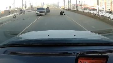 �������ǻ �������, ��� �������� ������ � ���� ������� ����������� ����������������� � ������ �� ����� ��� ��������� � � ����