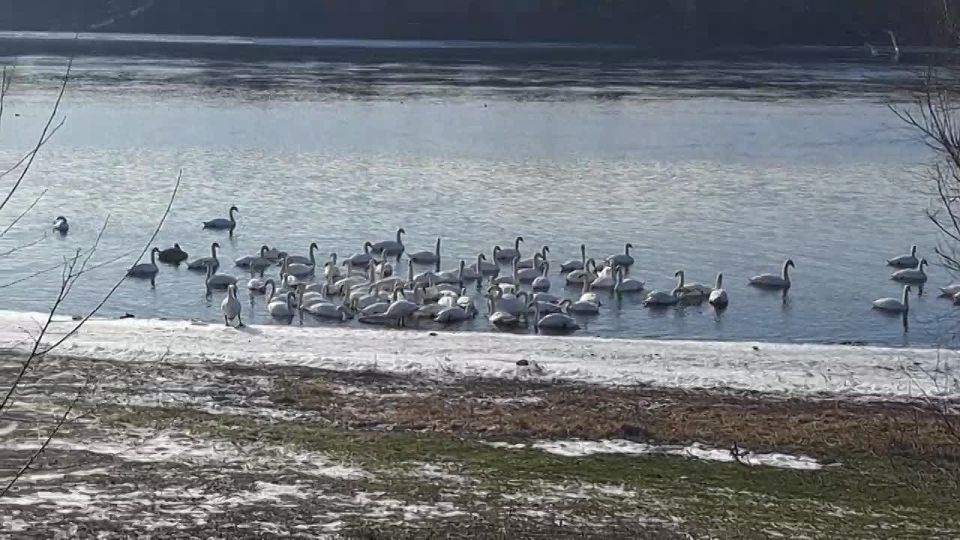 ������ ����� ����������� �� ����� � �������������