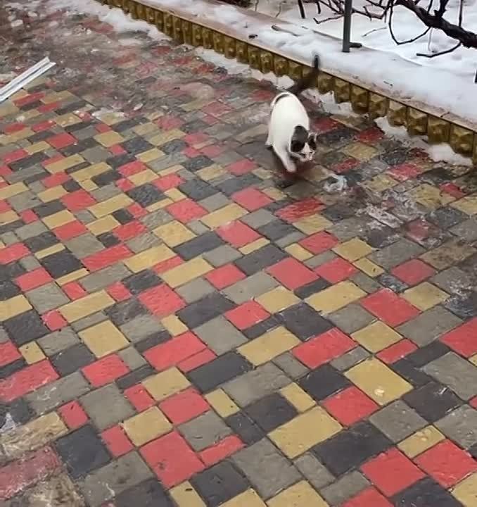 �������� ������� ���������: ������ ������� ����������, ������ ����� ���������