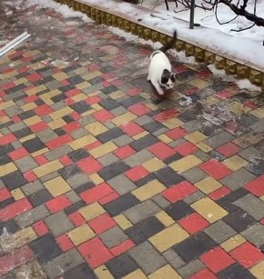 �������� ������� ���������: ������ ������� ����������, ������ ����� ���������