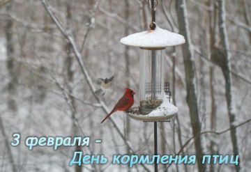 3 ������� � ���� ��������� ����