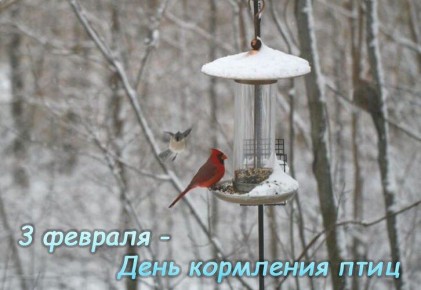 3 ������� � ���� ��������� ����