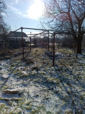 Милиция Бендер ищет того, кто застрелил питбуля в Парканах