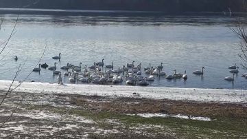 ������ ����� ����������� �� ����� � �������������