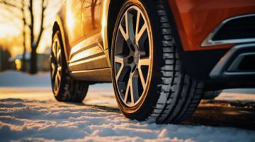 ����� ��������� �������� ������ ��� ������ ���