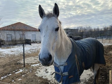 � ������ ����� �������� ������ ����� ��� ������-������