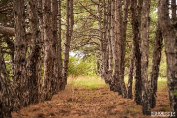 � ������������� ����� ���������� ��������������� �� ���������� ����� � ����� ��������